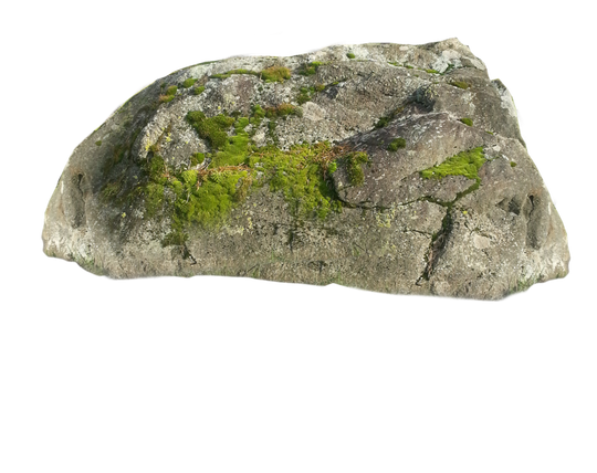 pngegg - 2025-07-17T200950.712.png